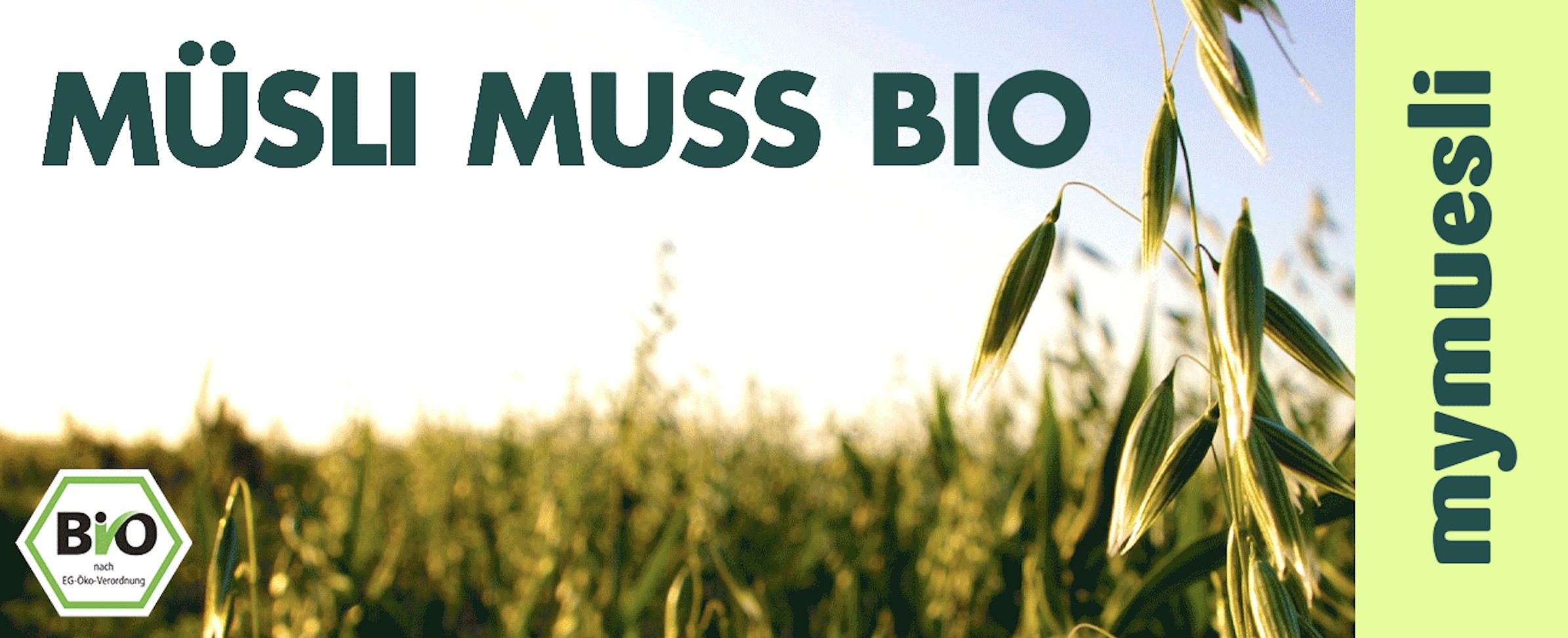 Bildschirmfoto 2025-08-18 um 16.41.14.jpeg